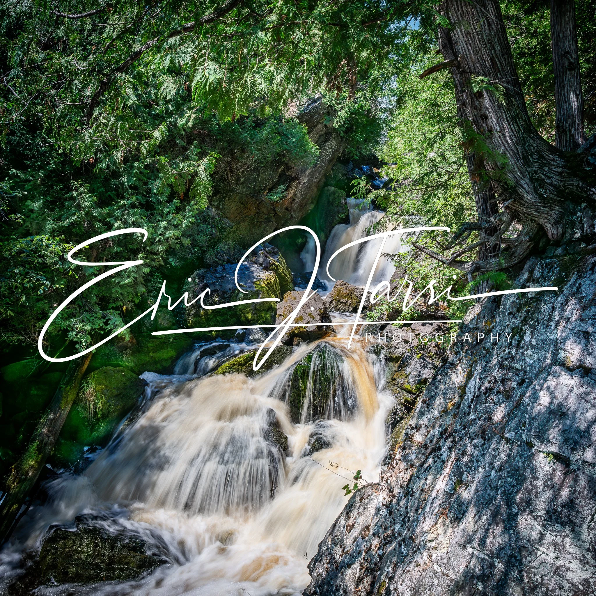 Long Slide Too Display.jpg