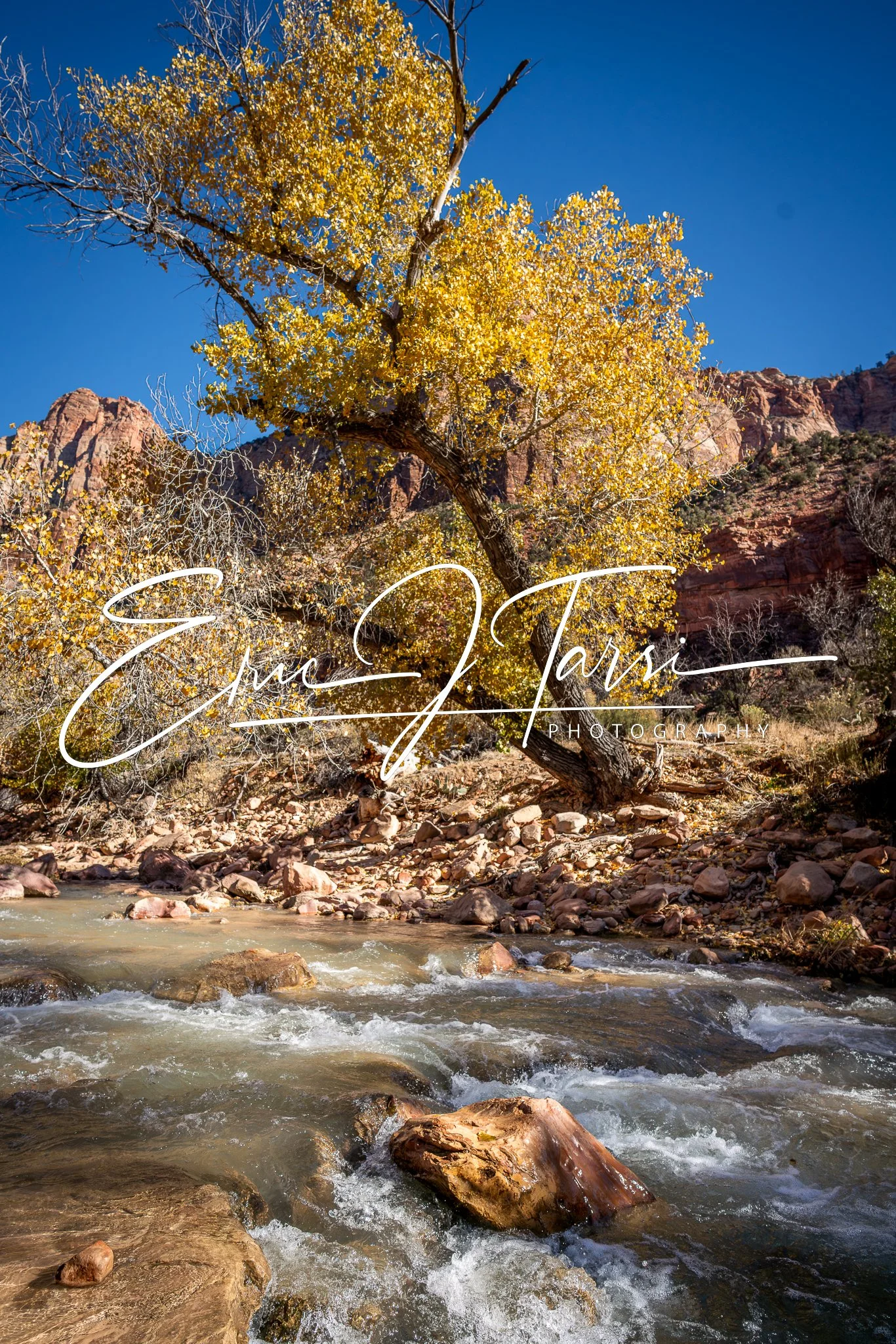 Zion Stream (2x3).jpg
