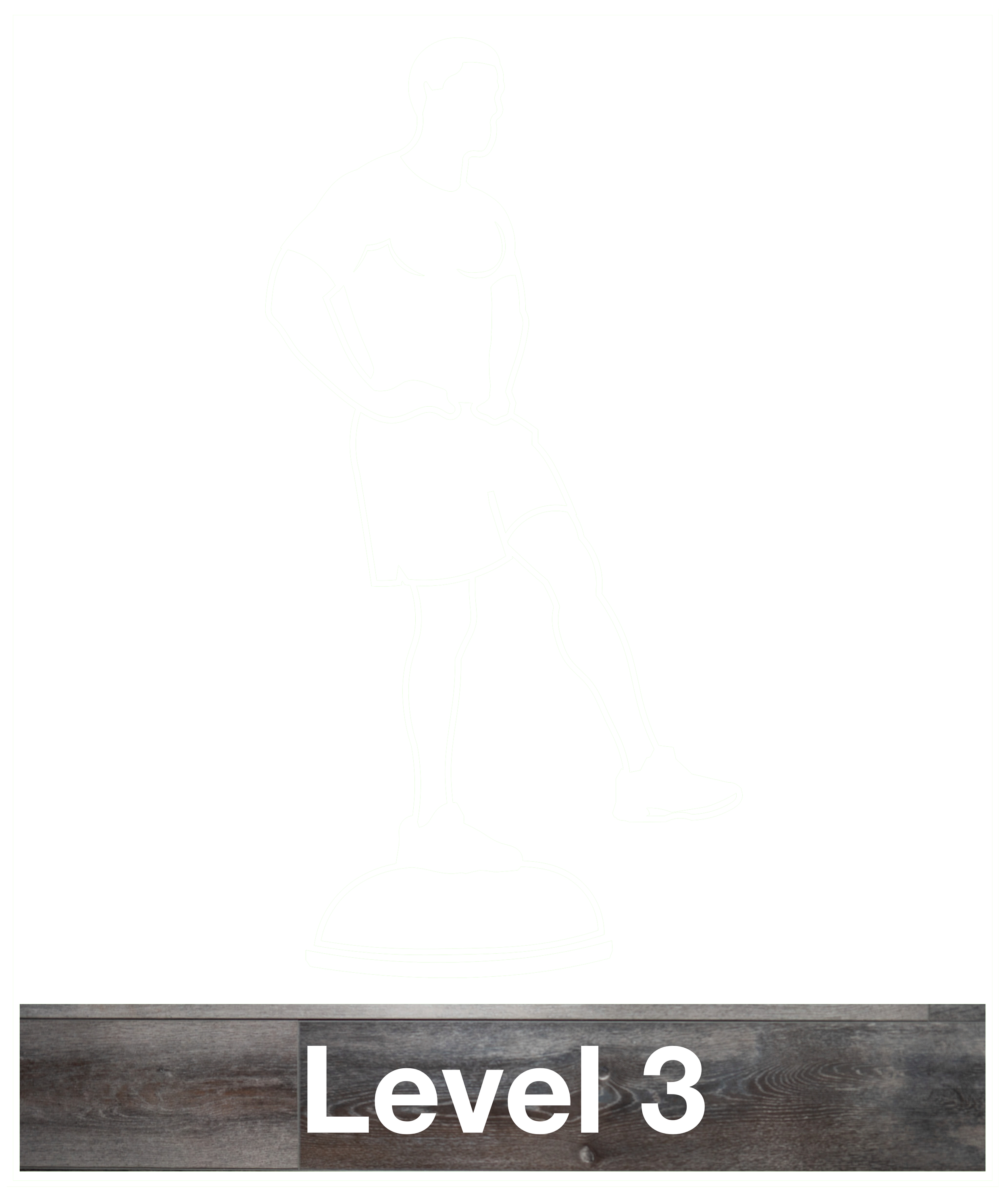 Graphic - Training Level 3 with label PNG.png