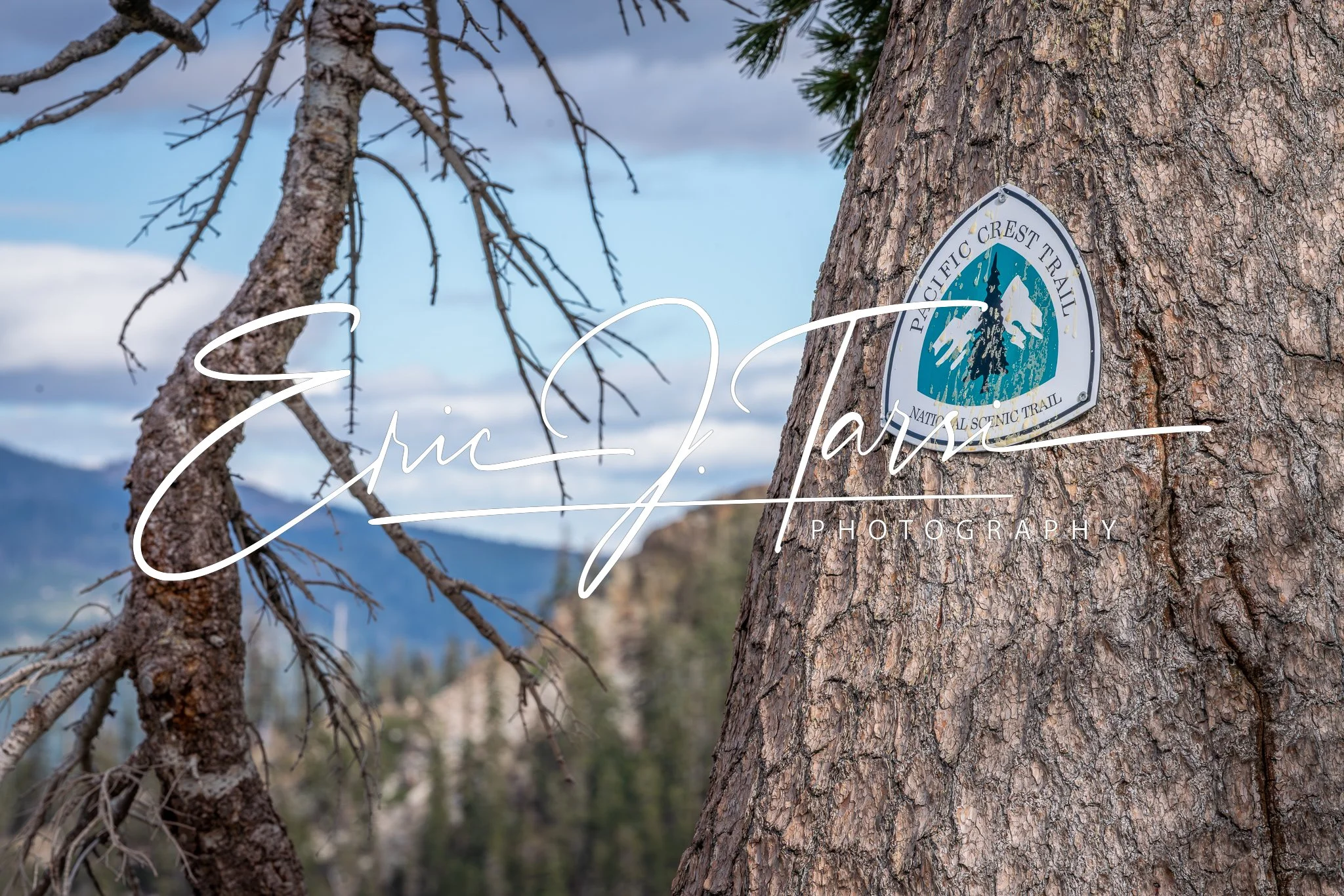 PCT Sign (3x2) D.jpg