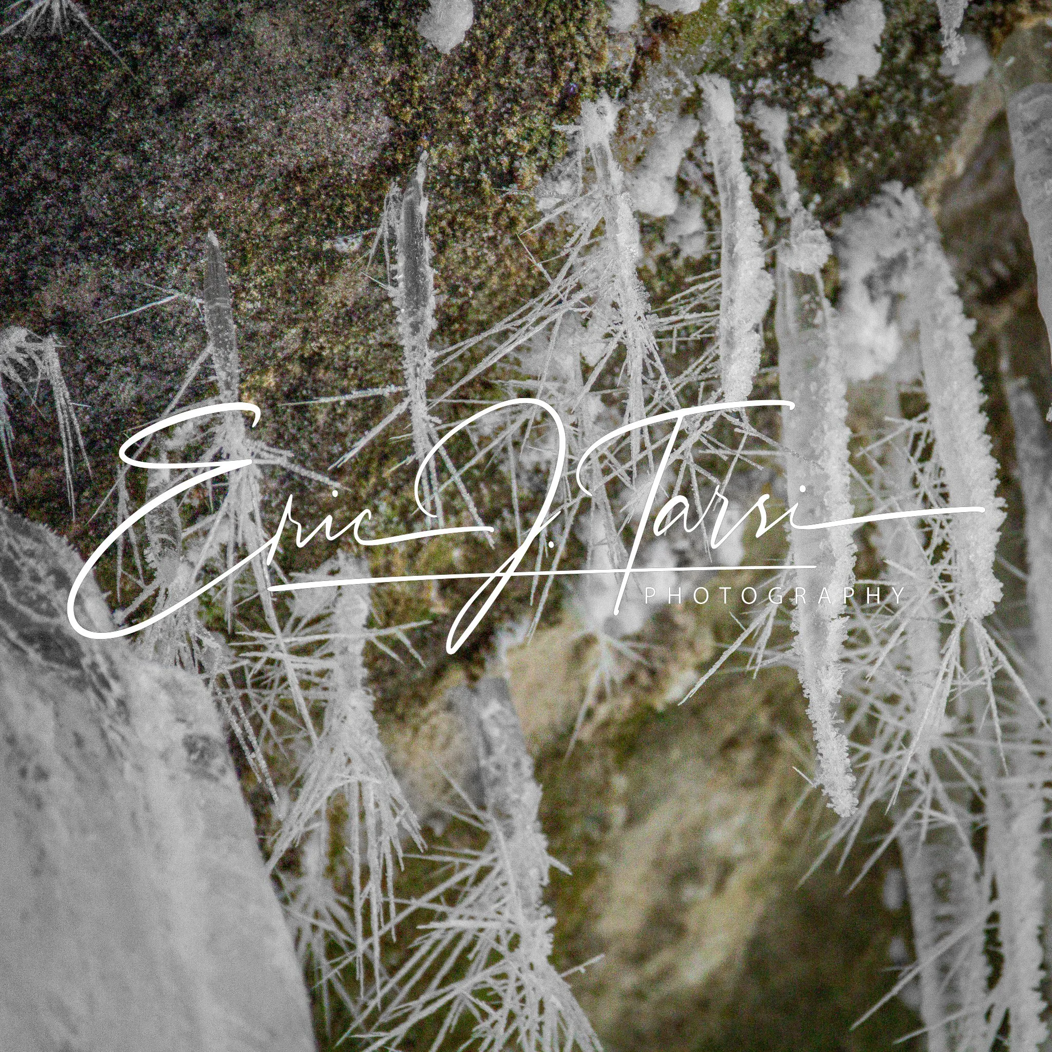 Icy Wonders (1x1) D.jpg