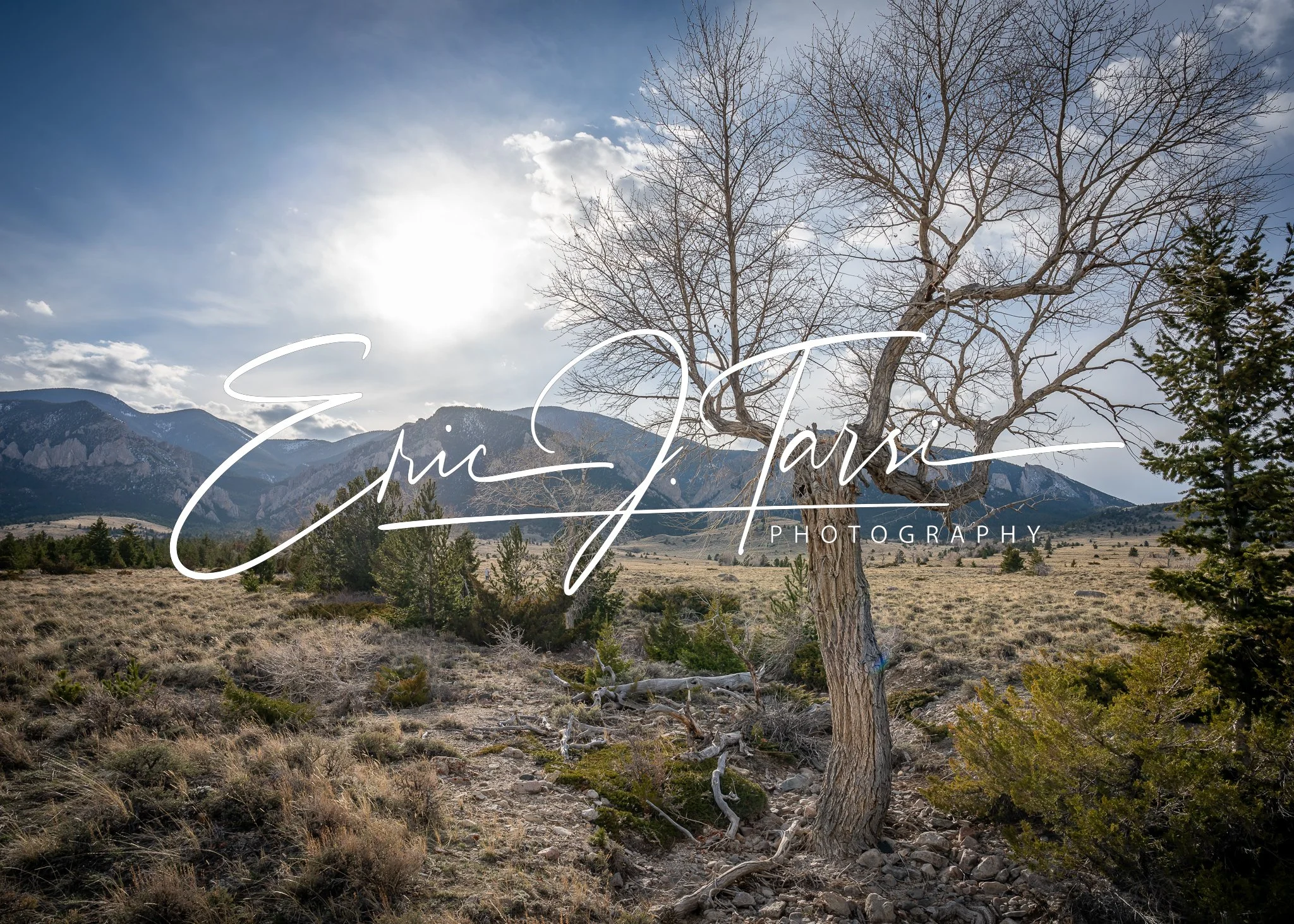 High Desert Display.jpg