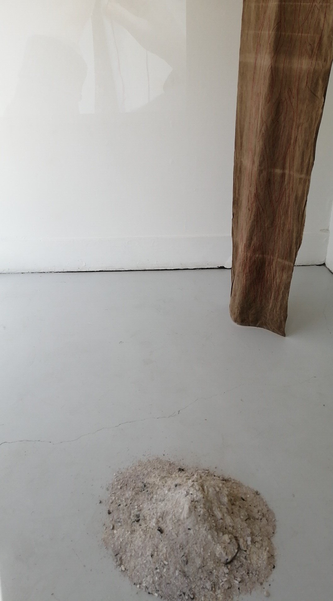 gallery installation 2.jpg