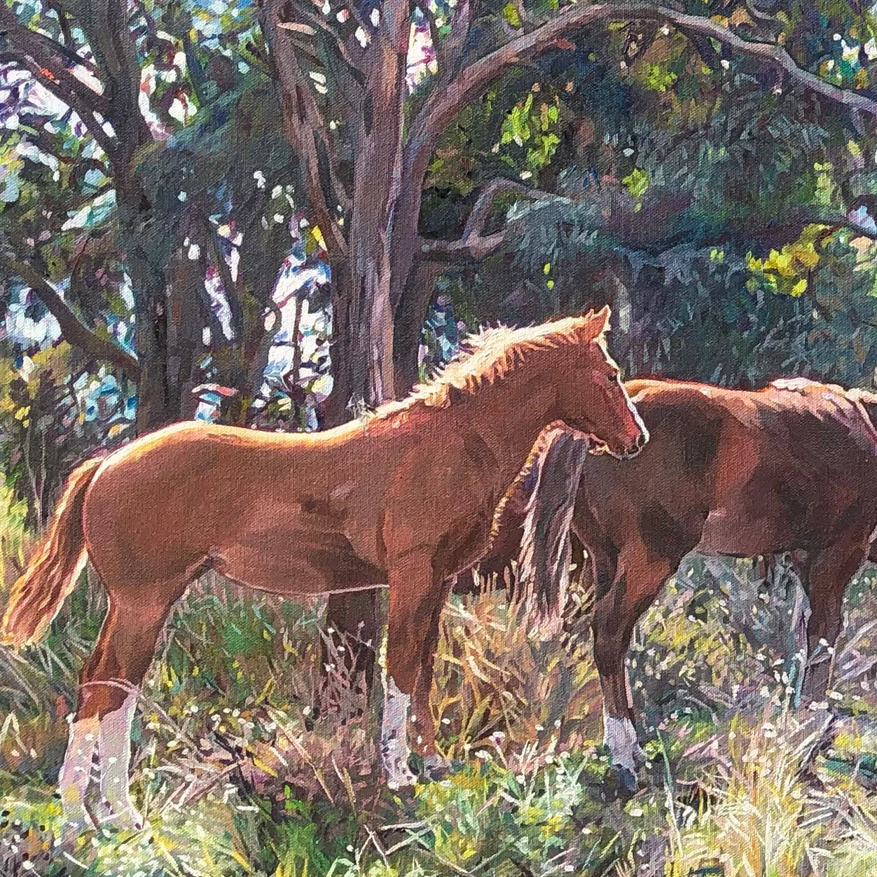 L_COLE_The_Mare_Paddock_CU.jpg