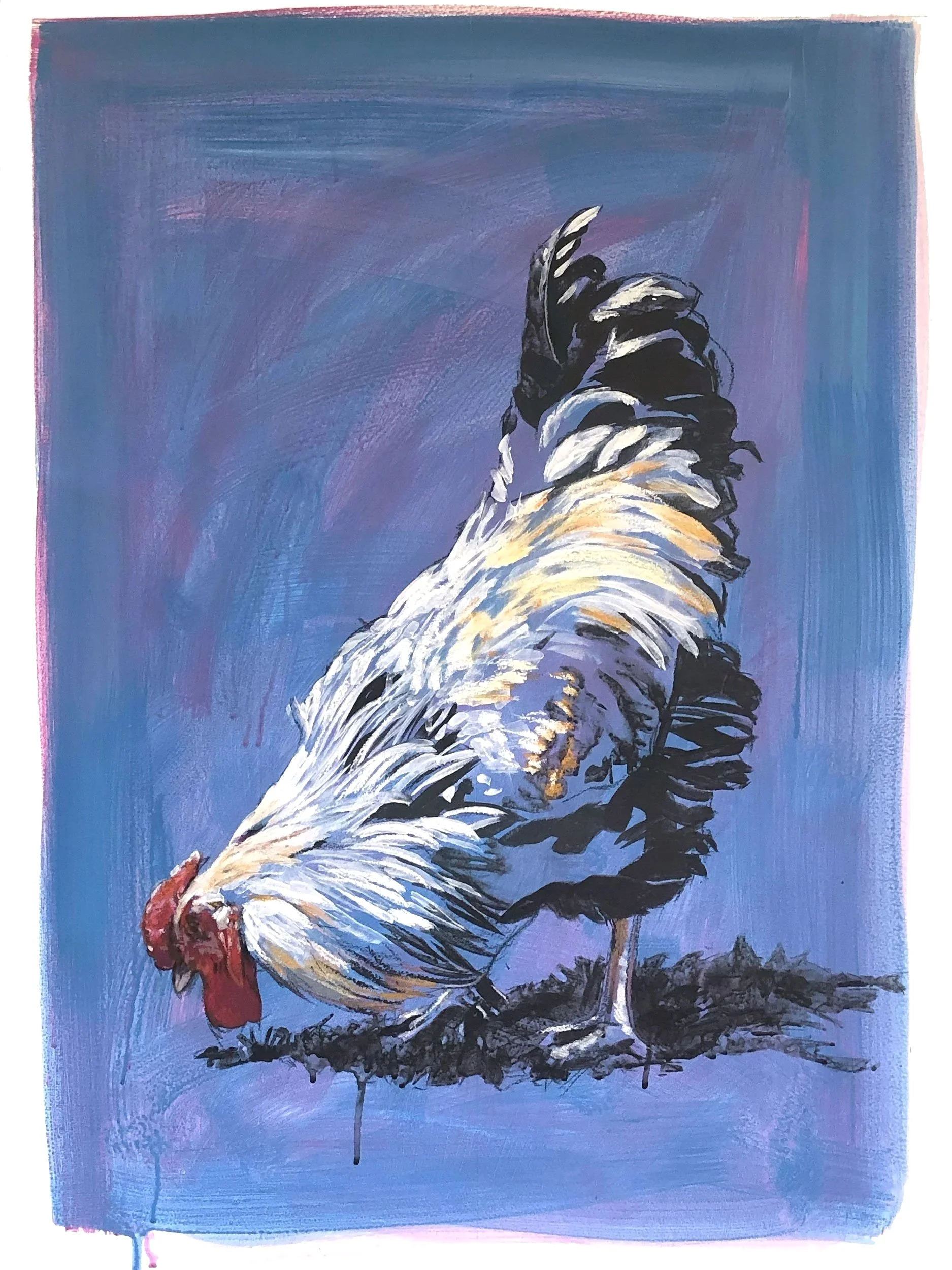 L_COLE_A_Rooster_Called_Goldilocks.jpg