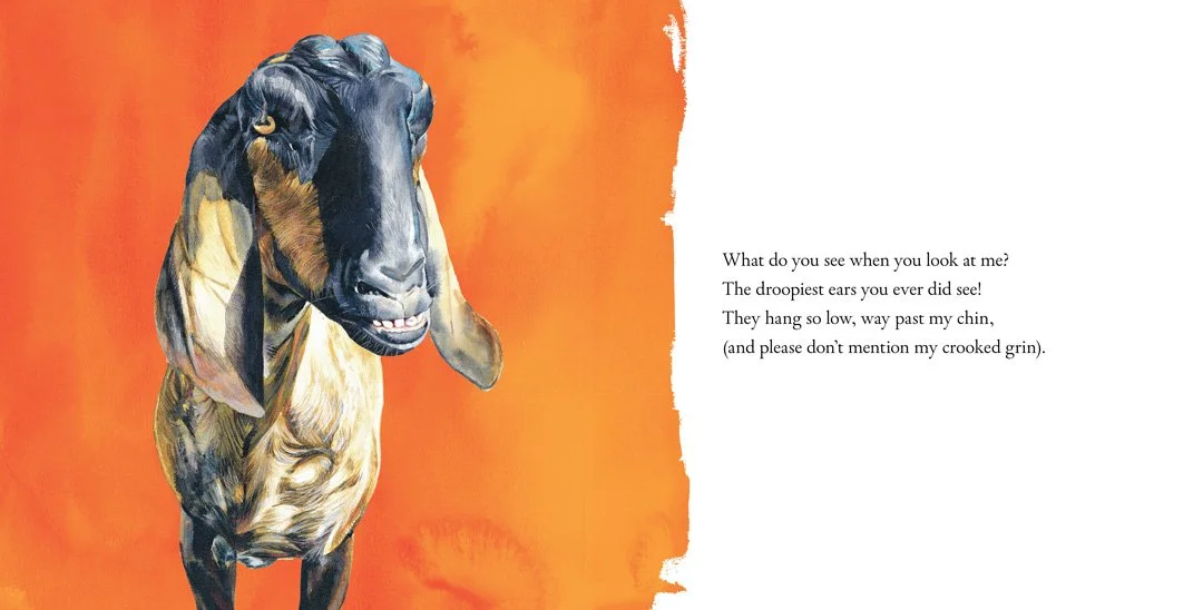 UGLY. Author, complete creative direction, illustration, and typography. Watercolour.