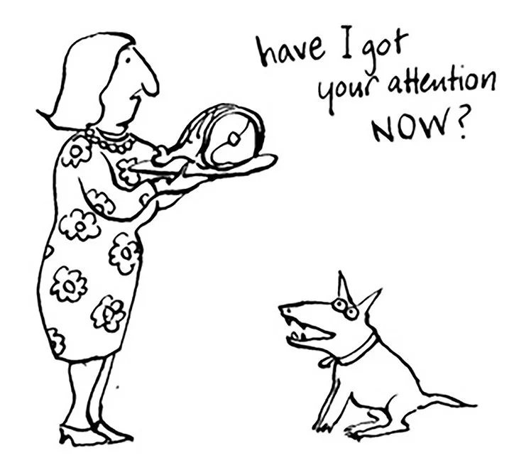 THE DOG WHISPERER, New Holland Publishers. Attention. Ink on paper.