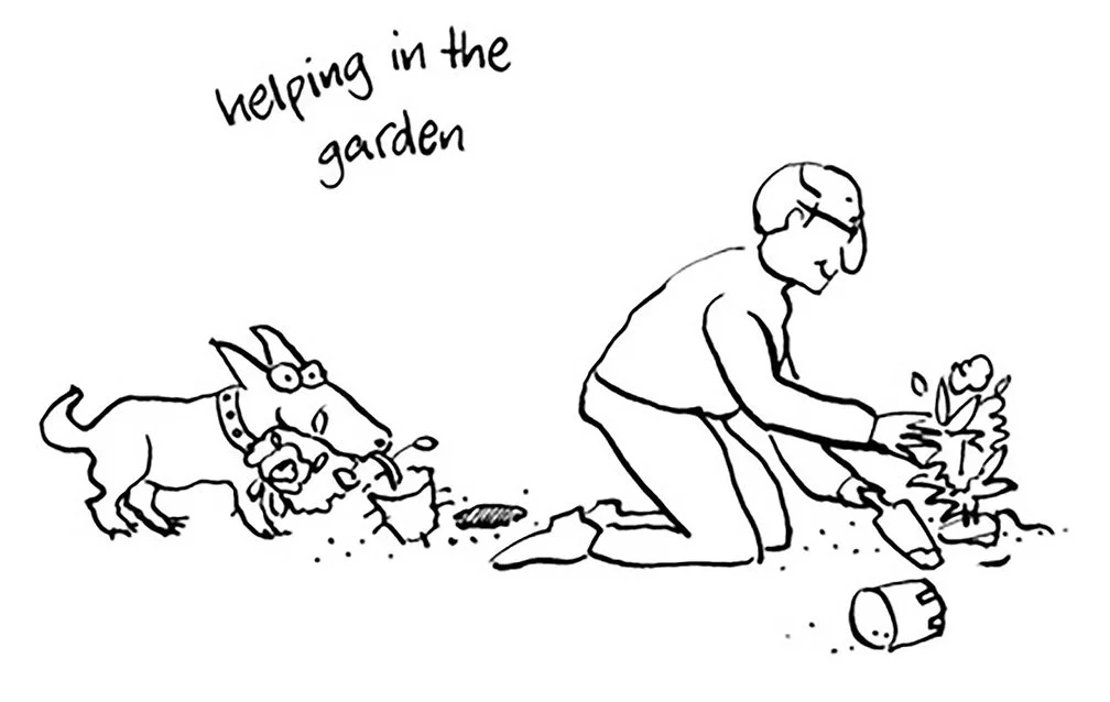 THE DOG WHISPERER, New Holland Publishers. Dog Helping in the Garden. Ink on paper.