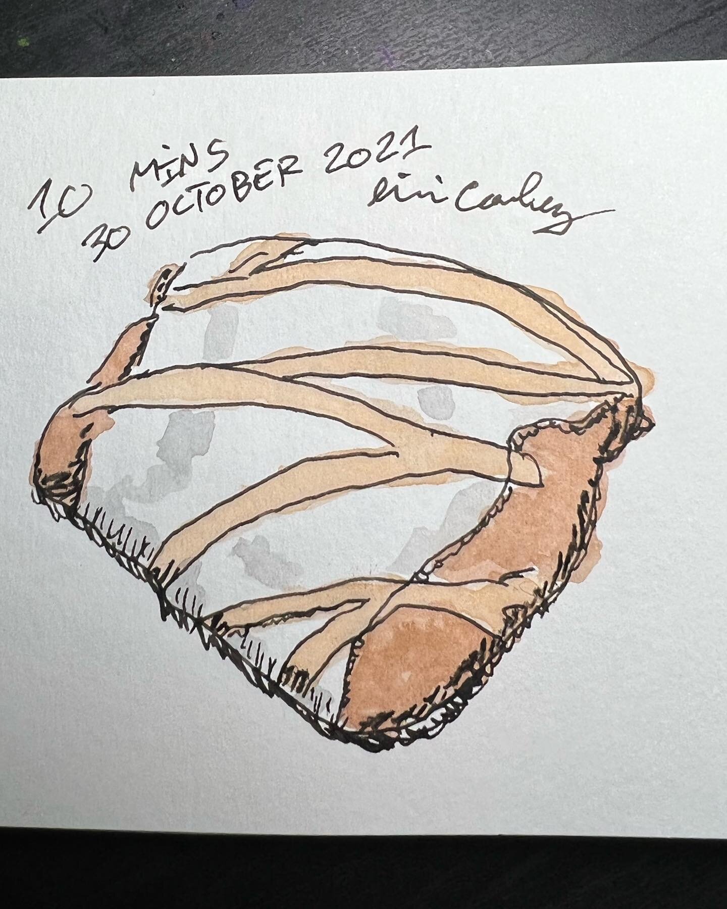 On the thirtieth day of Halloween I drew for all of you: A pumpkin scone from Starbucks.

Totally forgot to post this one earlier.  Oops. 

#inktober #inktober2021 #daysofhalloween #daysofhalloween2021 #uglyartoctober #draweverydayinoctober #drawing 