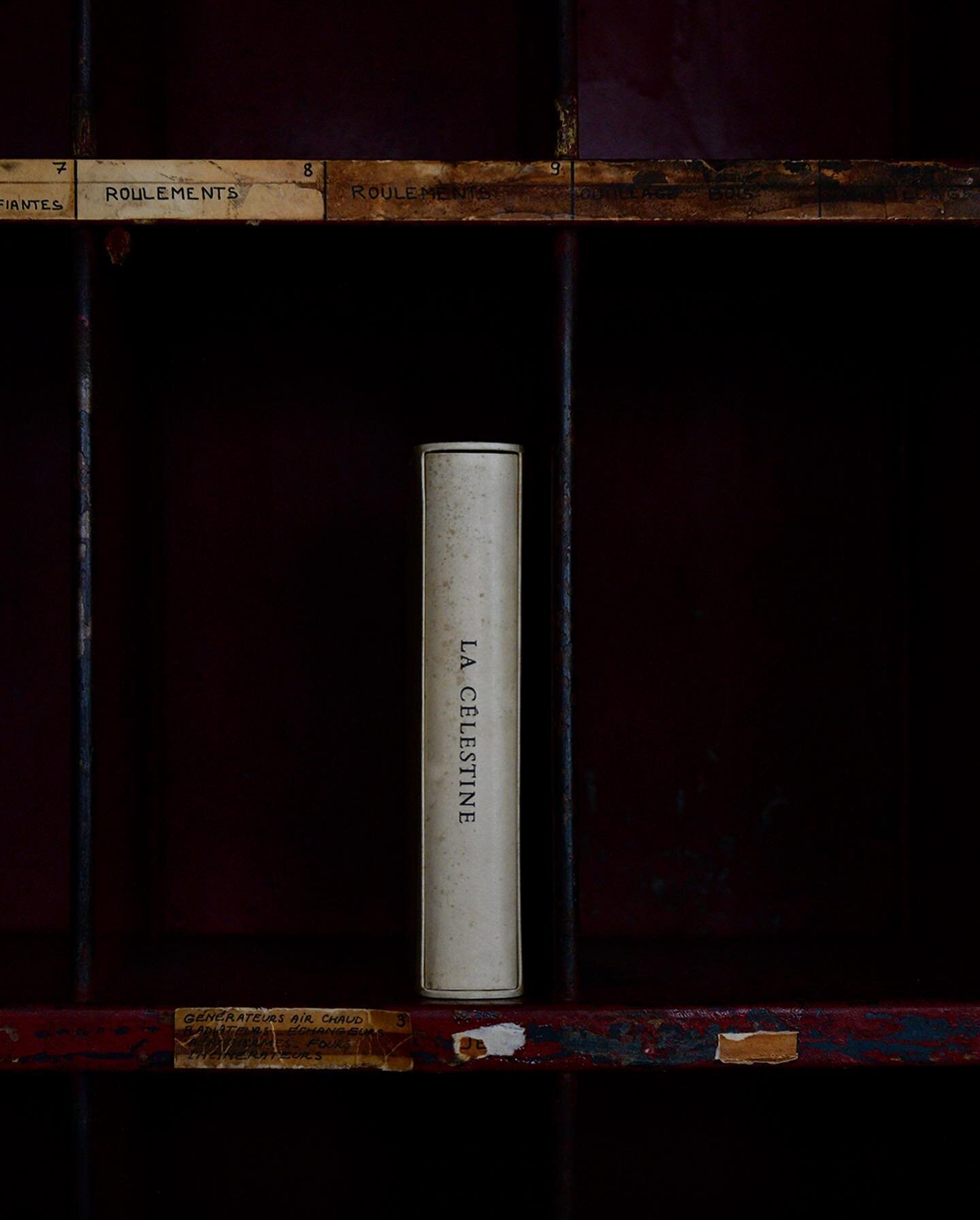 1930 年代フランス製キャビネット　鋳物製　

#広告写真撮影
#フォトグラファー
#自社スタジオ
#photographer
#写真家
#スタジオblank
#perfectly blank
#日本橋
#tokyo
#商品撮影スタジオ
#ポートレート
#フィルム撮影
#ムービー撮影
#aux_paradis
#商品撮影
#フィルム撮影
#フィルムスキャン
#ハッセルブラッド
#シリアルマガジン