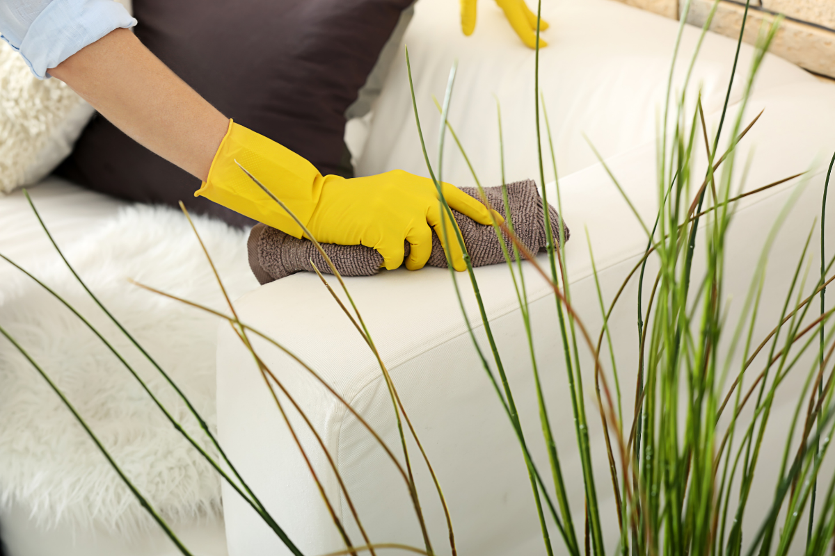 Spots That Professional Cleaners Never Forget to Scrub 3 cleaning+furniture