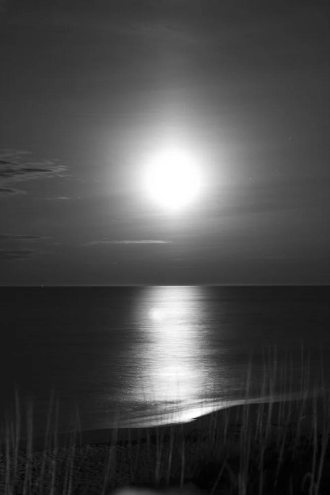 Website Portfolio-28.jpg