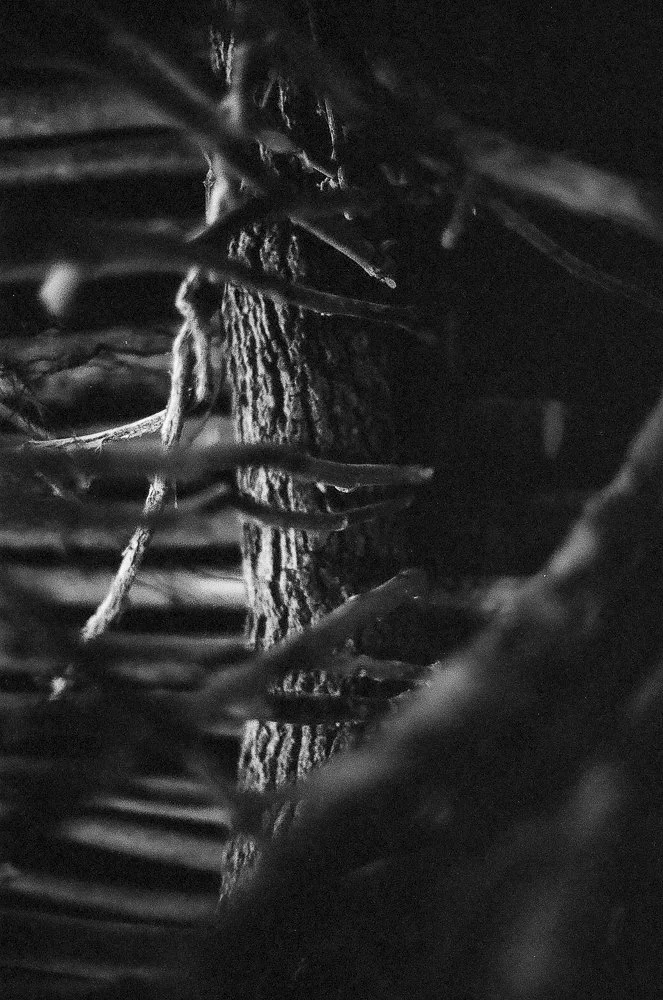 Website Portfolio-132.jpg