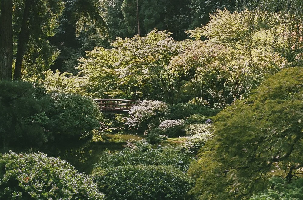 Website Portfolio-89.jpg