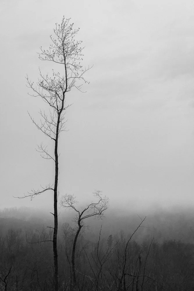 Website Portfolio-15.jpg