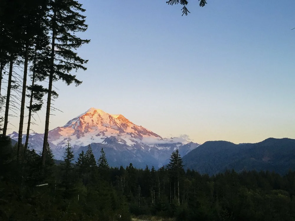 Website Portfolio-60.jpg