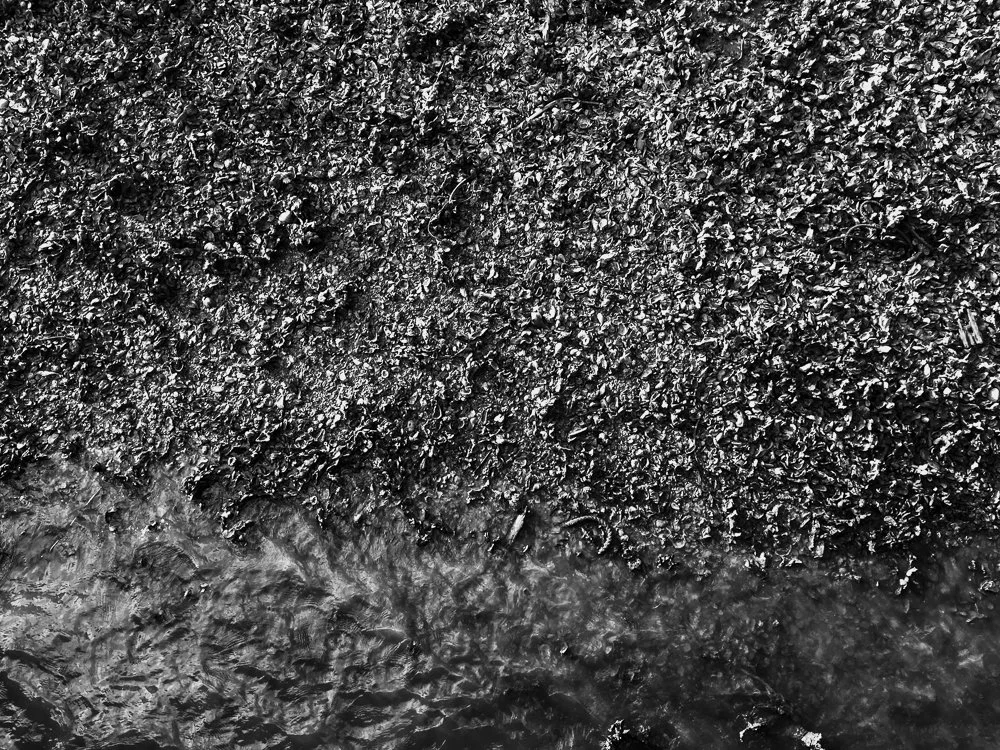 Website Portfolio-57.jpg