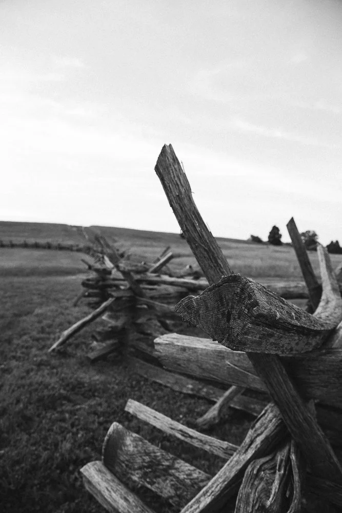 Website Portfolio-54.jpg