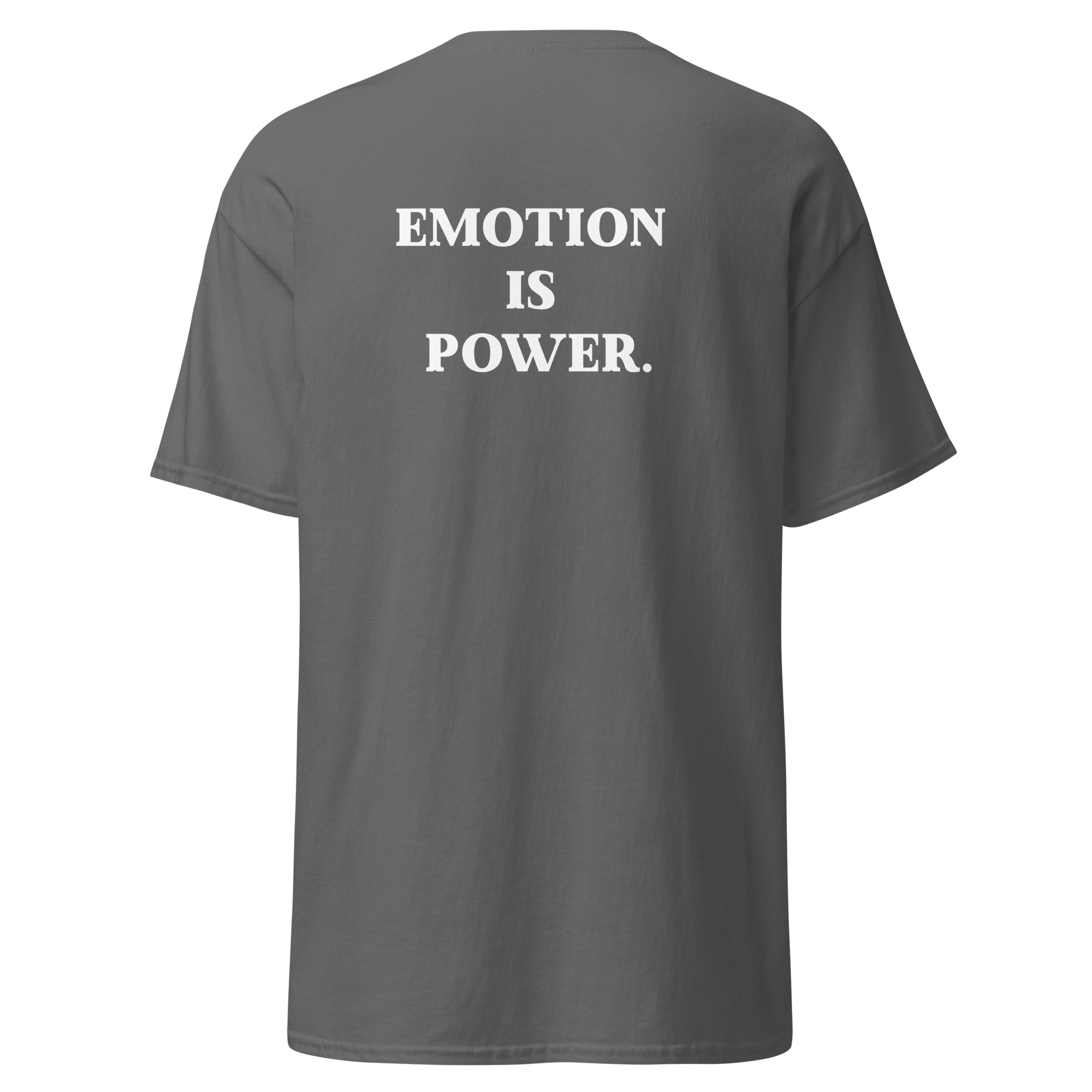 unisex-classic-tee-charcoal-back-6839247374d70.png