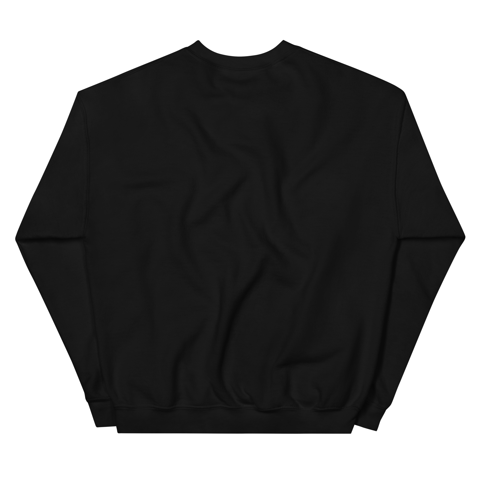 unisex-crew-neck-sweatshirt-black-back-68c1e562df218.png