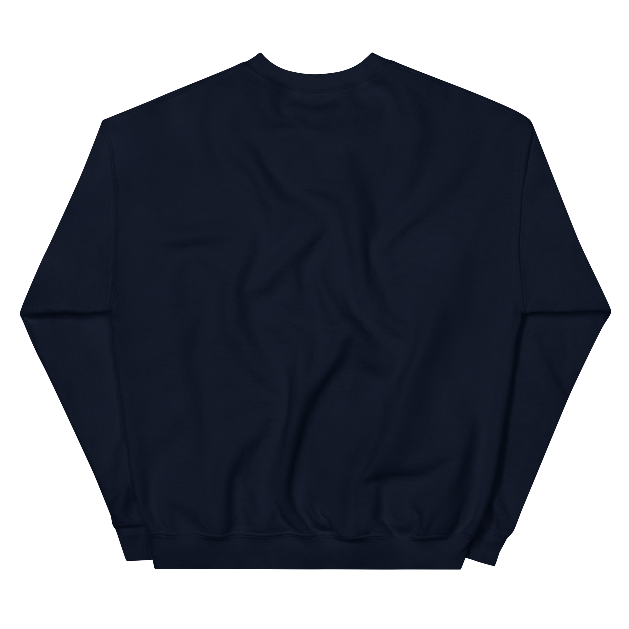 unisex-crew-neck-sweatshirt-navy-back-68c1e562e336a.png