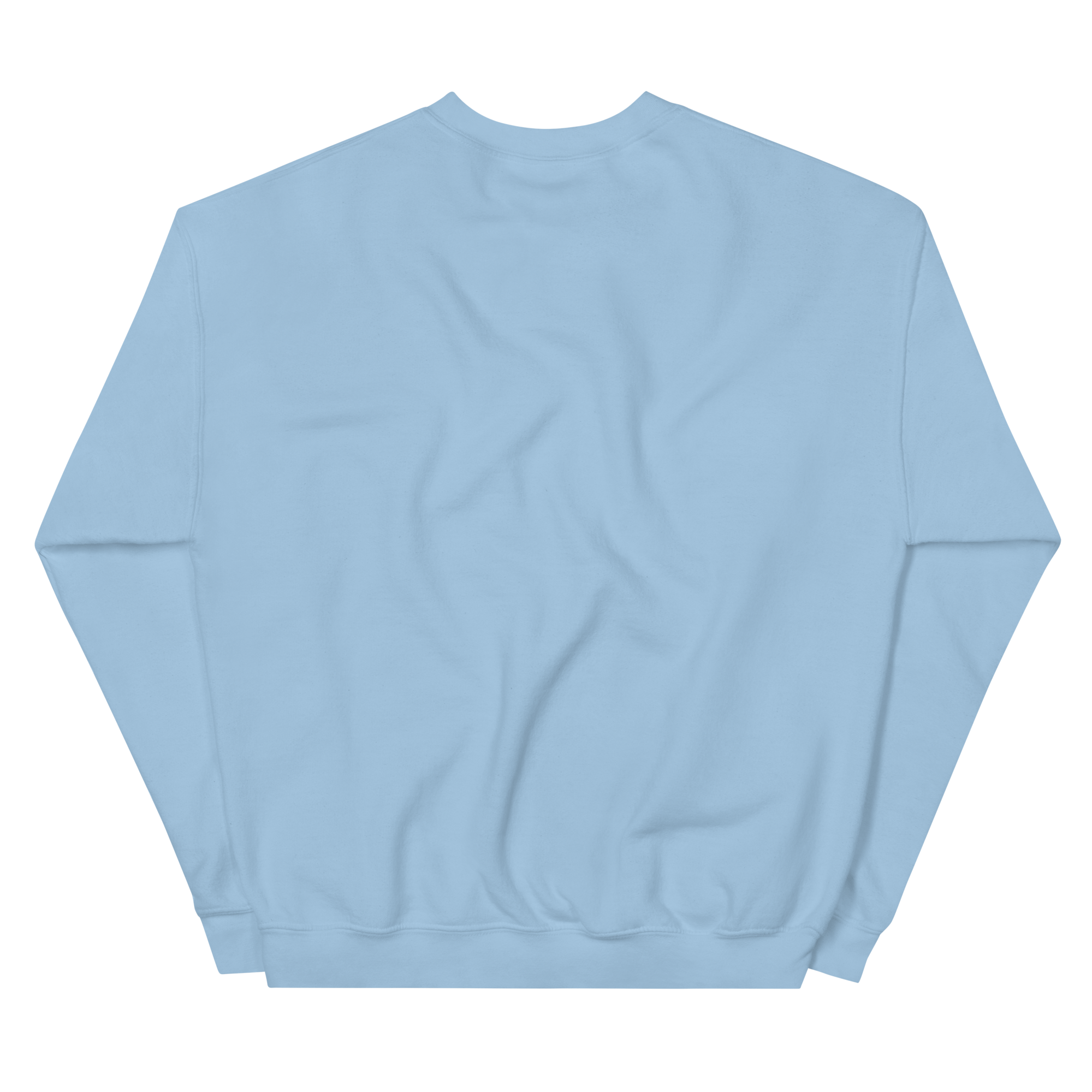 unisex-crew-neck-sweatshirt-light-blue-back-68c1e563cbe89.png