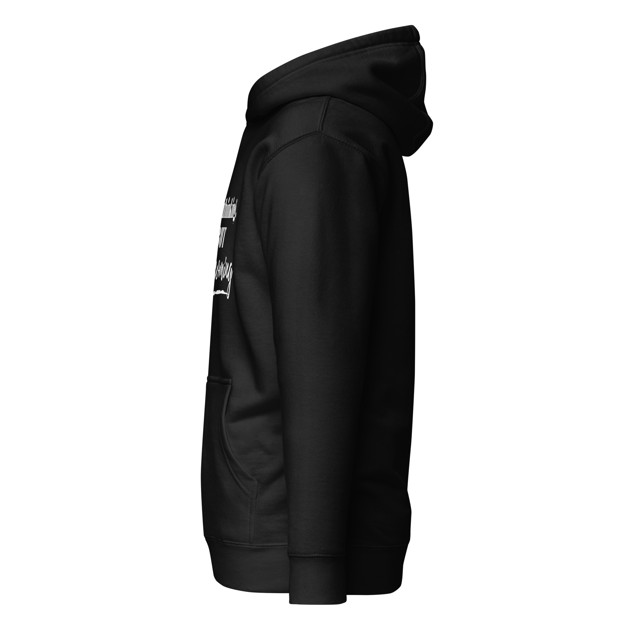 cotton-heritage-m2580-i-unisex-premium-pullover-hoodie-black-left-69390e00a1348.png