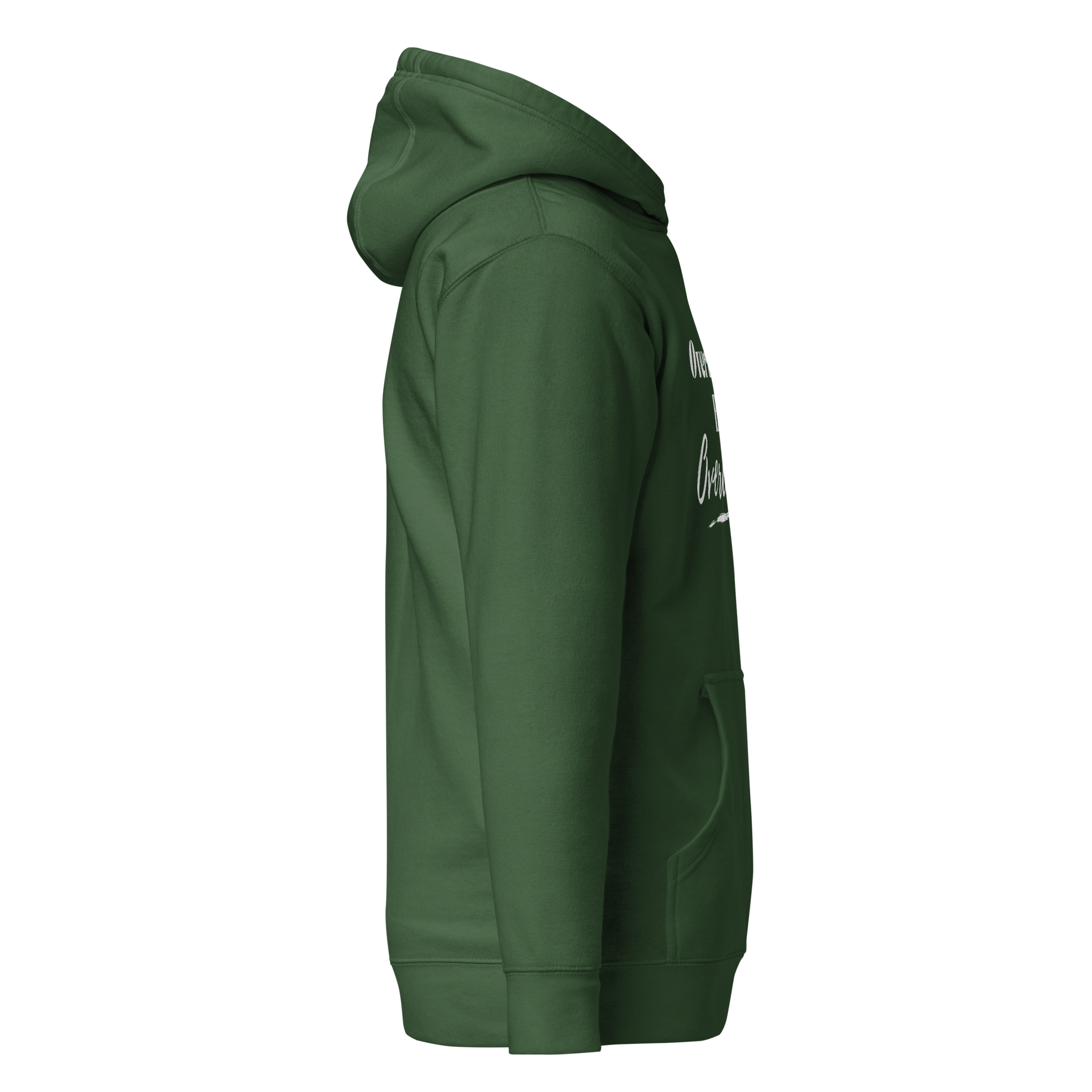 cotton-heritage-m2580-i-unisex-premium-pullover-hoodie-forest-green-right-69390e00bb328.png