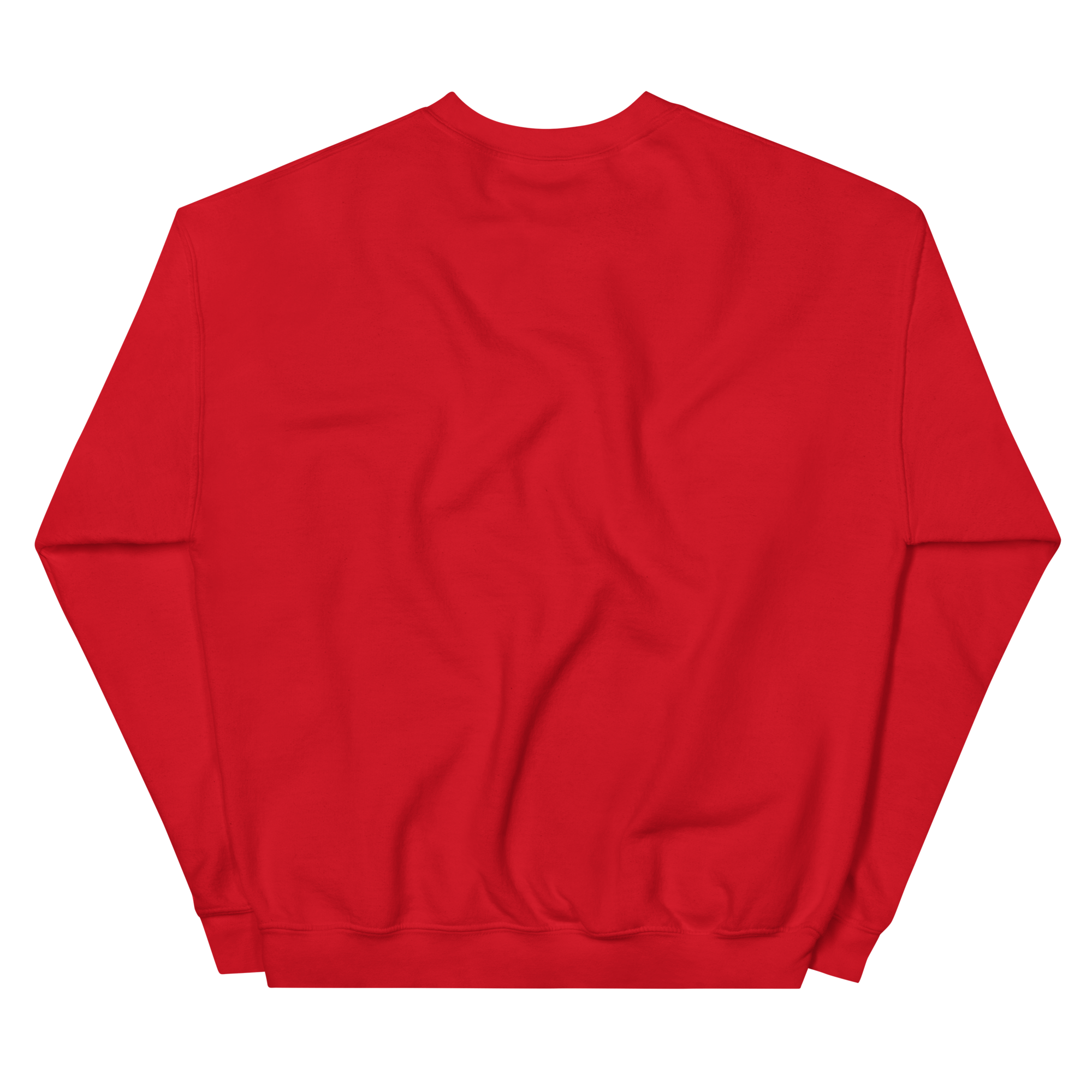 unisex-crew-neck-sweatshirt-red-back-69390ee5a173c.png