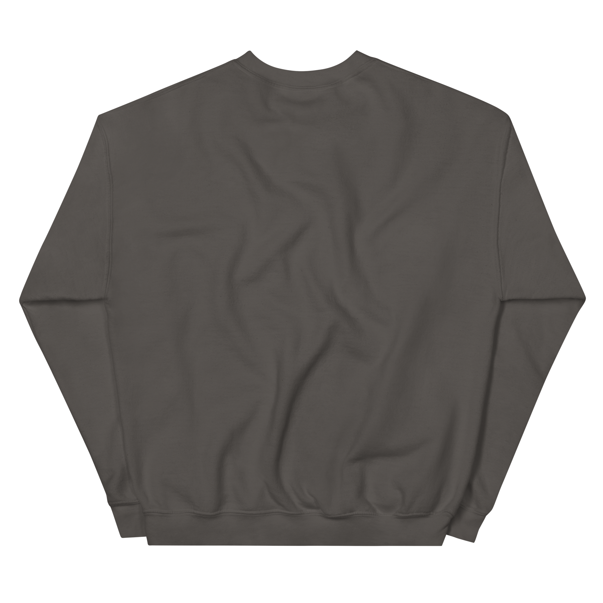 unisex-crew-neck-sweatshirt-charcoal-back-69390ee5b76d0.png