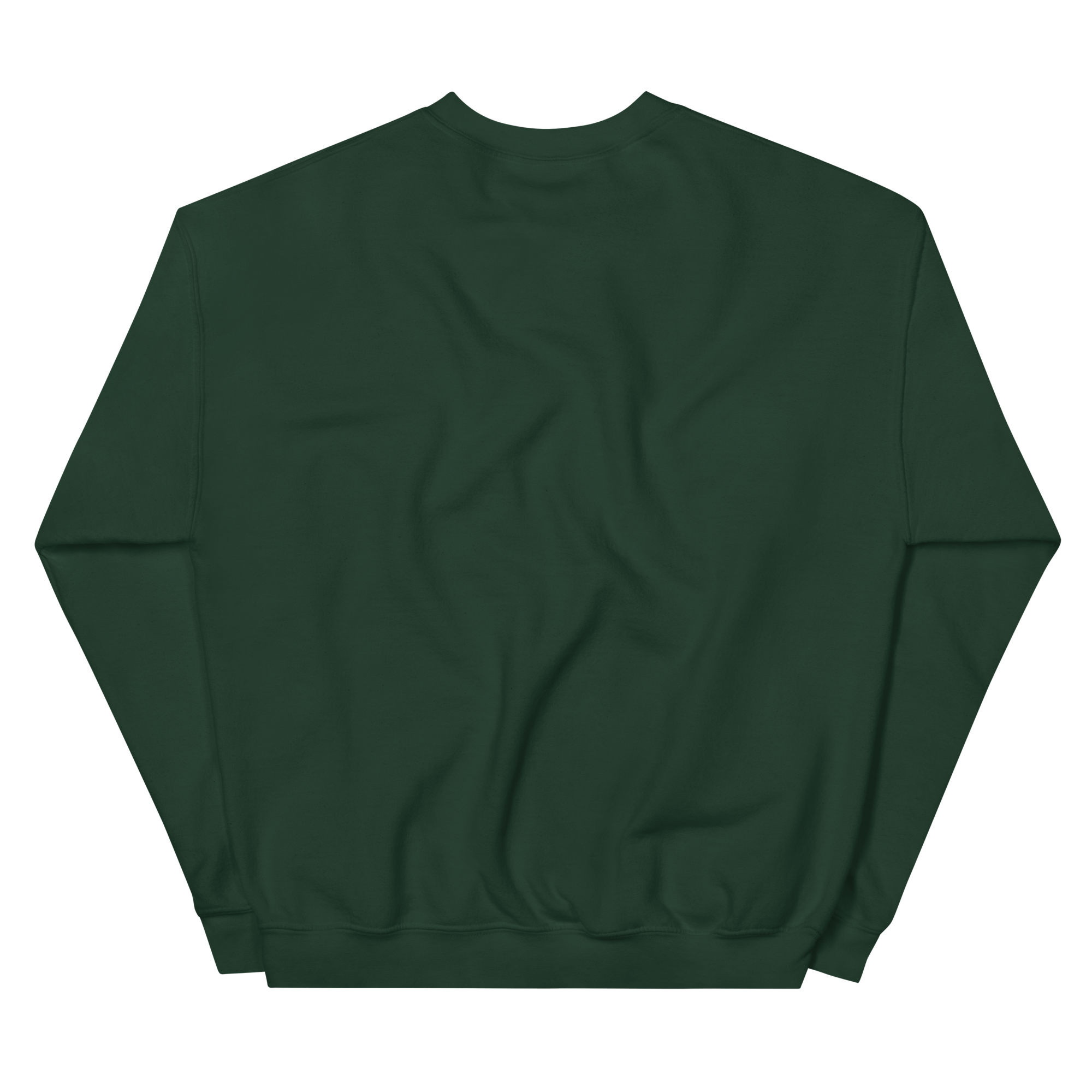 unisex-crew-neck-sweatshirt-forest-green-back-69399850917de.png