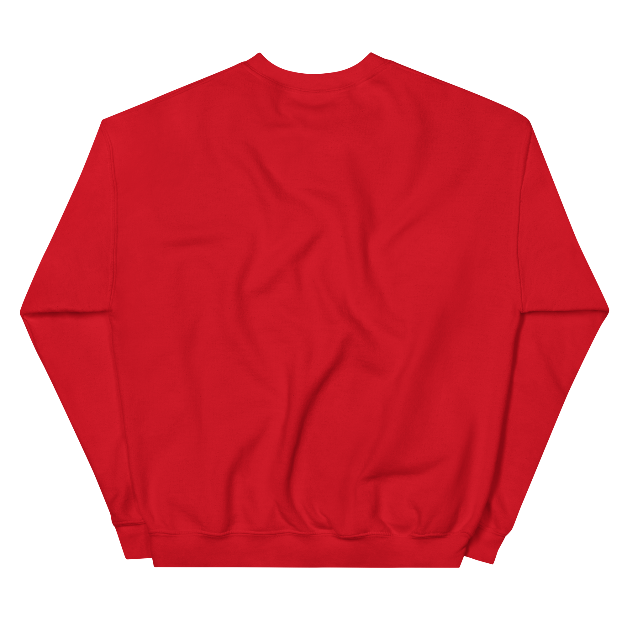 unisex-crew-neck-sweatshirt-red-back-693998509f6be.png
