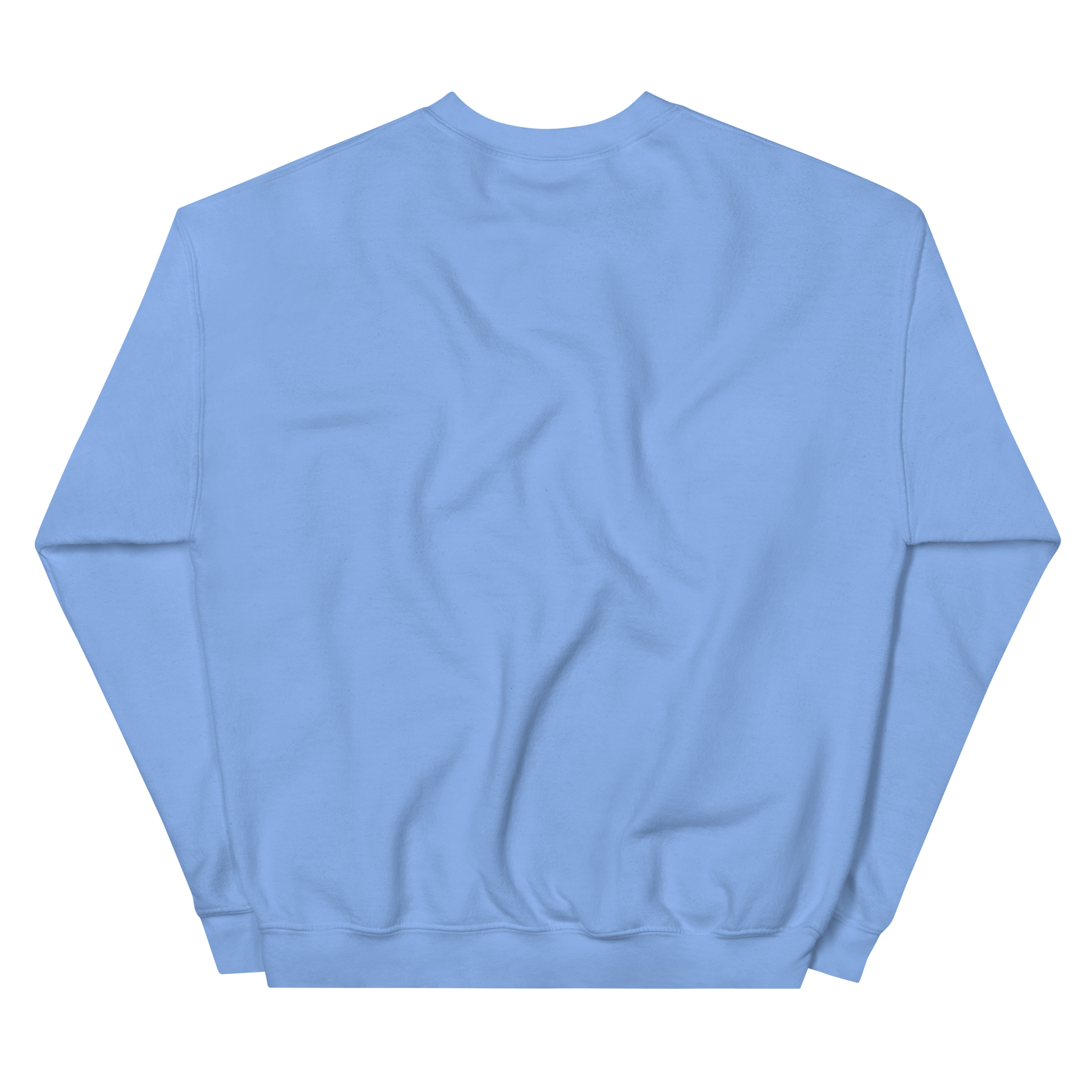 unisex-crew-neck-sweatshirt-carolina-blue-back-69399850e7d27.png