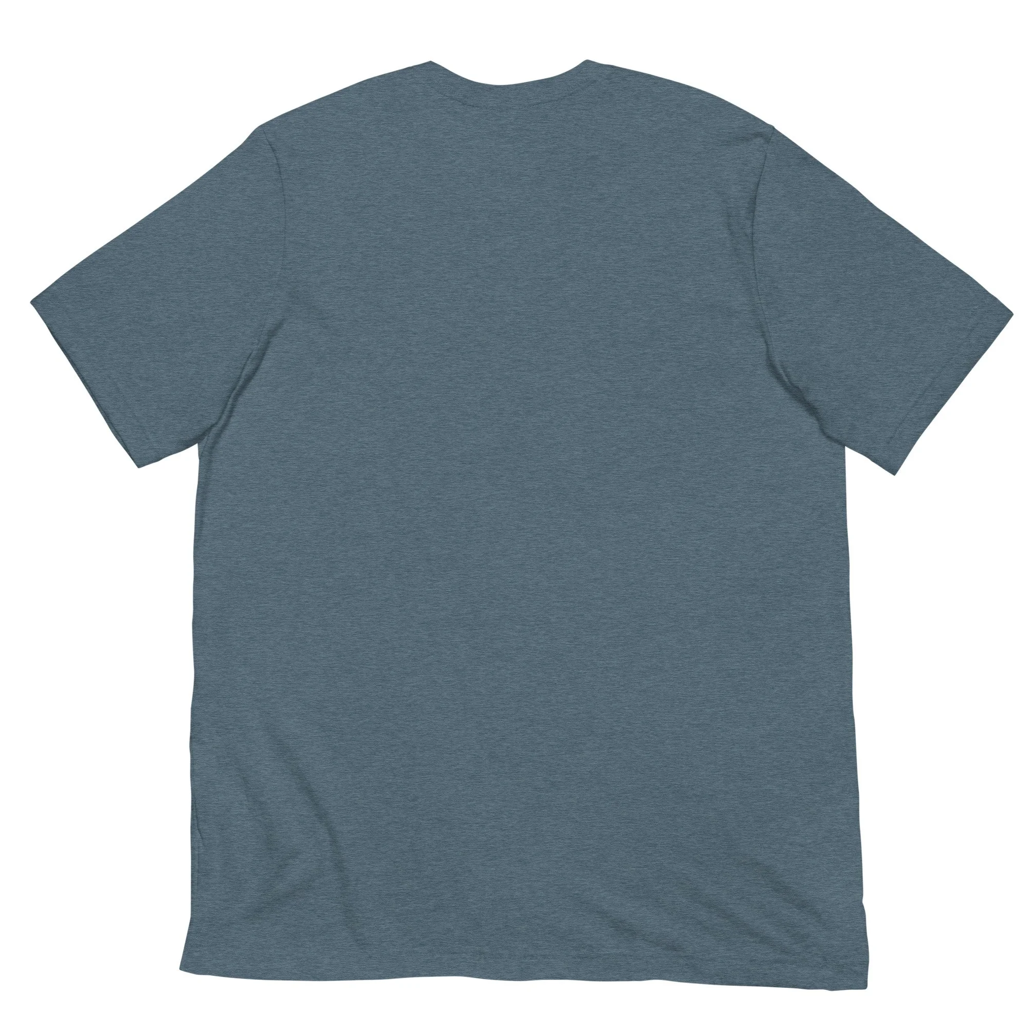 unisex-staple-t-shirt-heather-slate-back-6a073eb9b5019.jpg