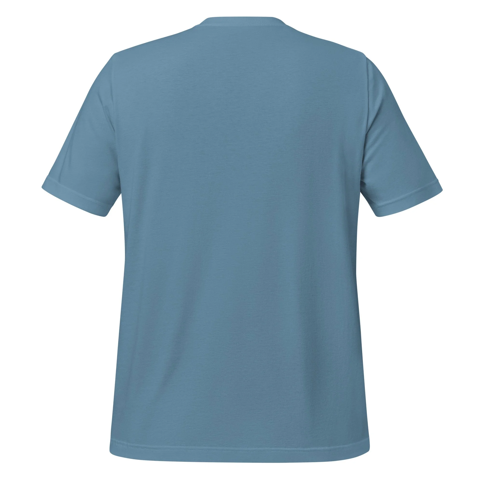 unisex-staple-t-shirt-steel-blue-back-6a076a781eb97.jpg