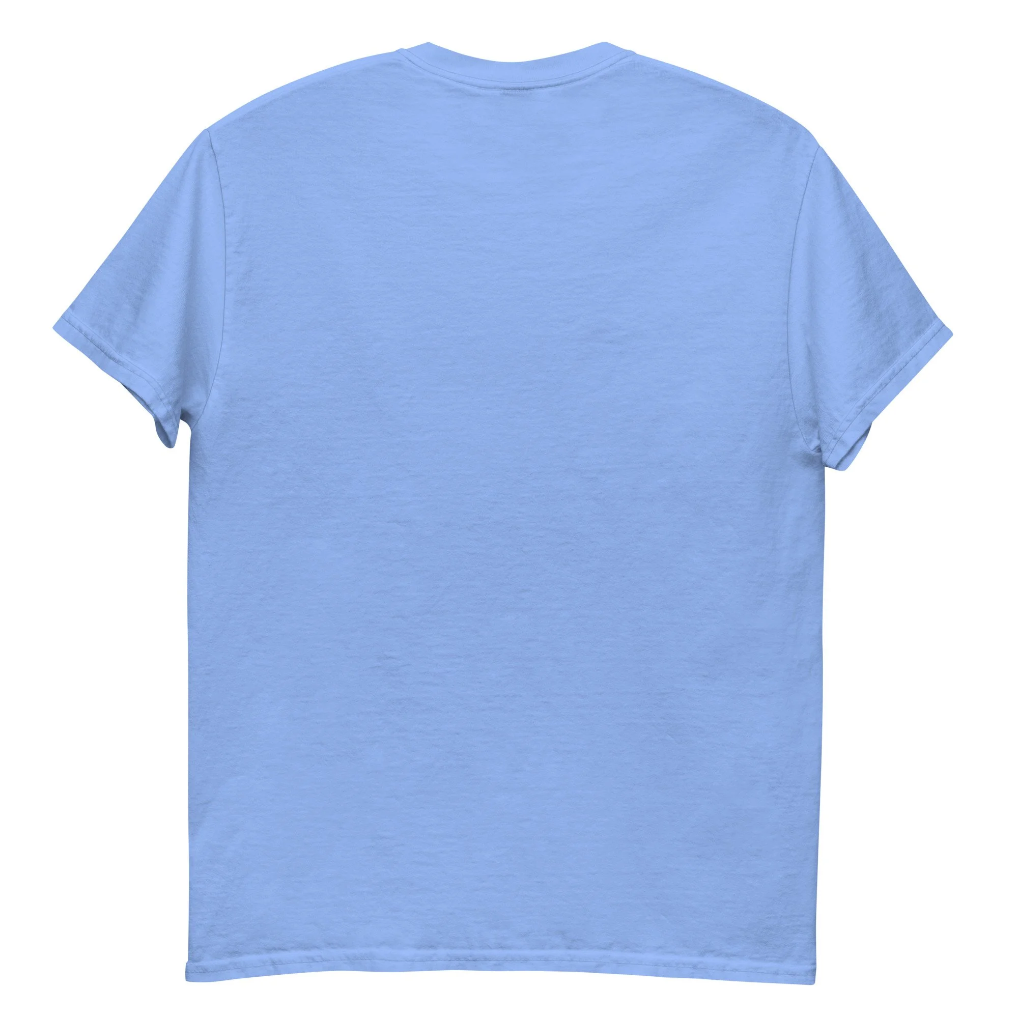 unisex-classic-tee-carolina-blue-back-6a076c8109a3a.jpg