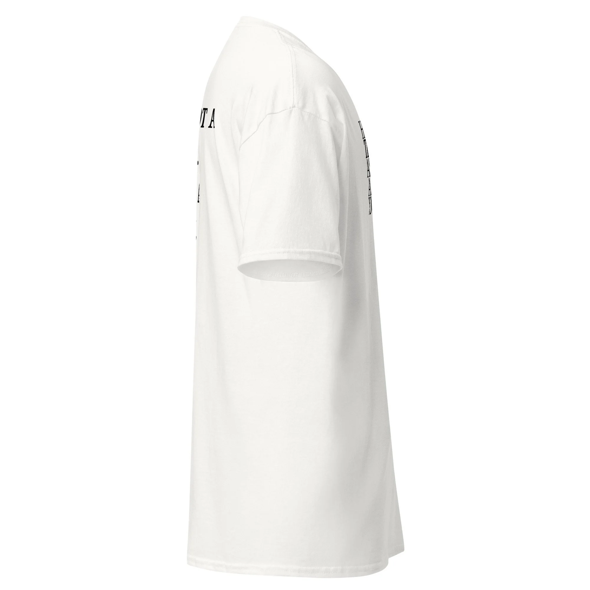 unisex-classic-tee-white-right-6aaed19a37ff0.jpg