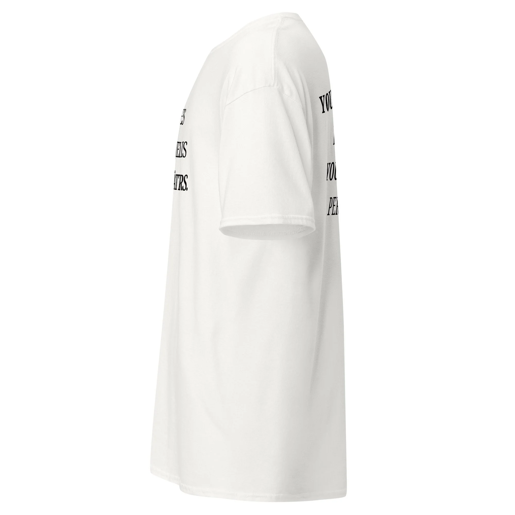 unisex-classic-tee-white-left-6aaed19a3881a.jpg