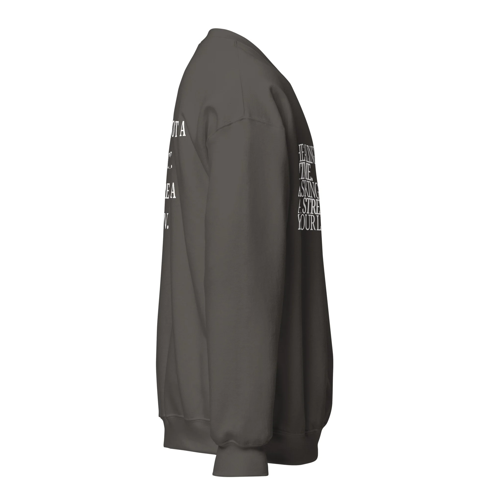 unisex-crew-neck-sweatshirt-charcoal-right-6aaed272afa1f.jpg