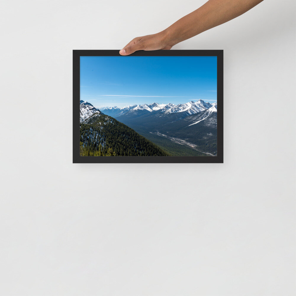 enhanced-matte-paper-framed-poster-(in)-black-12x16-front-6042df287c3e7.jpg