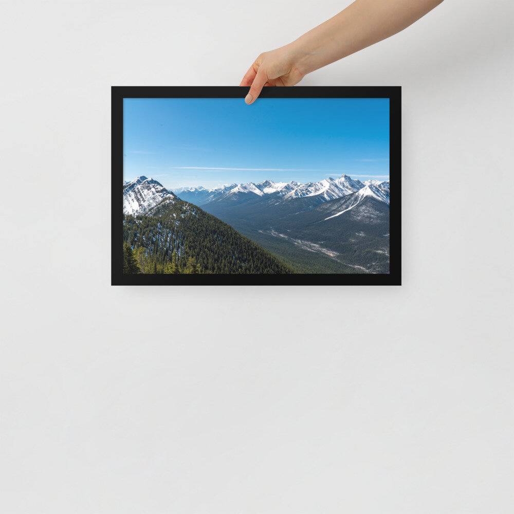 enhanced-matte-paper-framed-poster-(in)-black-12x18-front-6042df287c615.jpg
