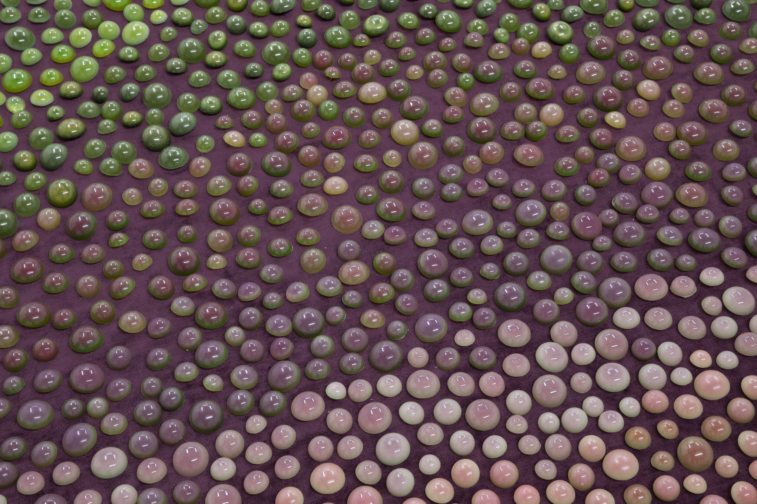 The Only purple detail.jpg