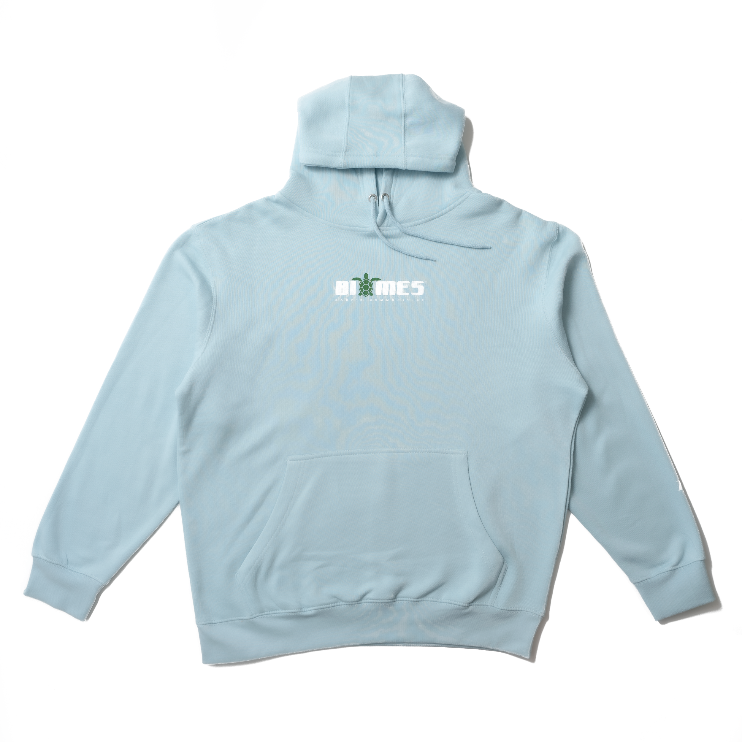 hoodie-blue-turtle.png