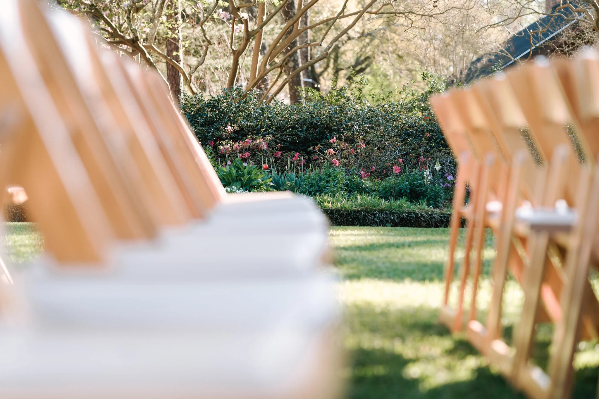 Anna + David _ LSU AgCenter Botanic Gardens _ Baton Rouge and New Orleans Wedding Photographer-08.jpg