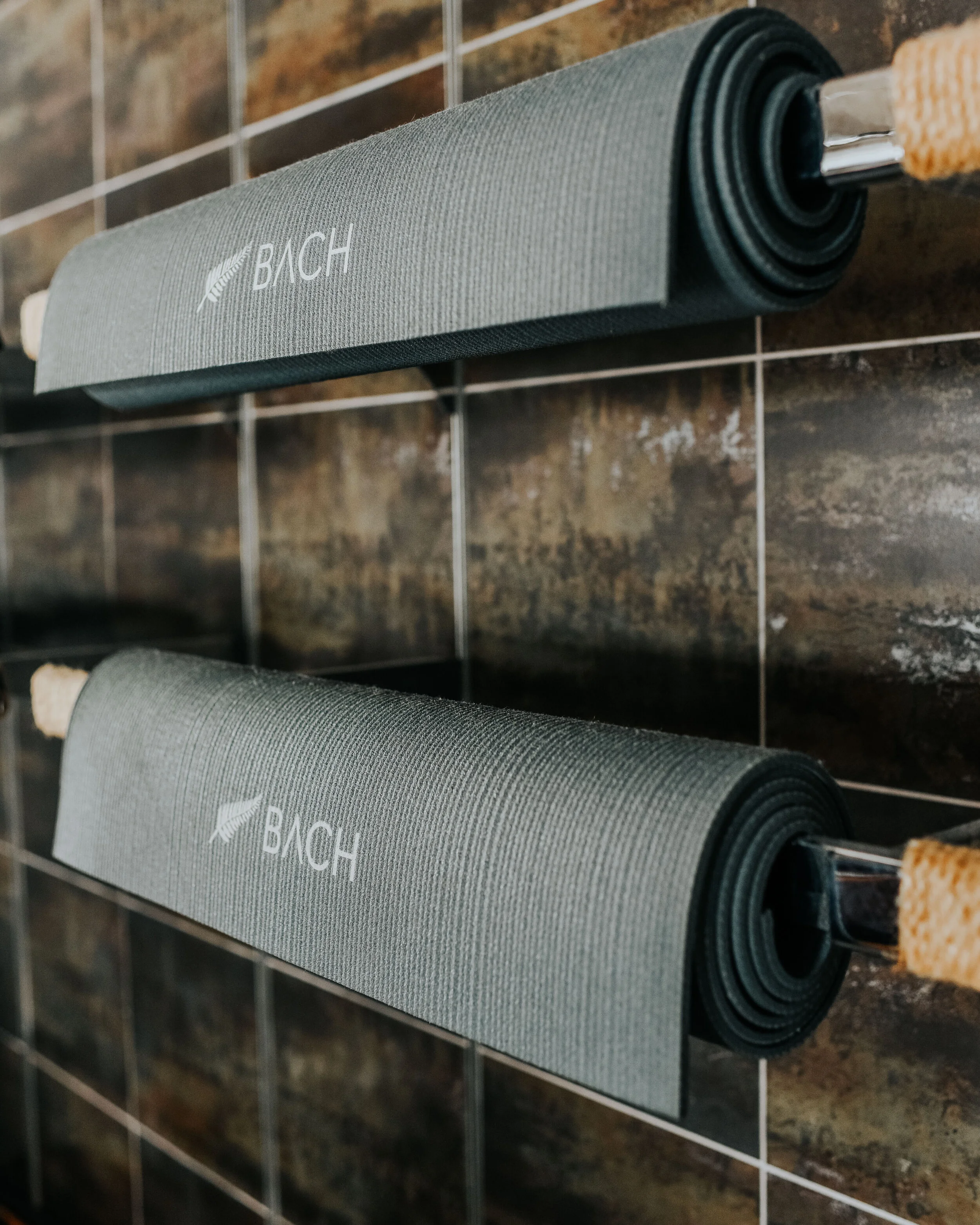 BACH Fitness