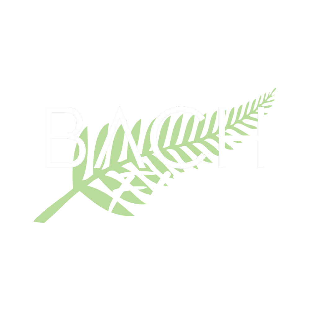 BACH Fitness