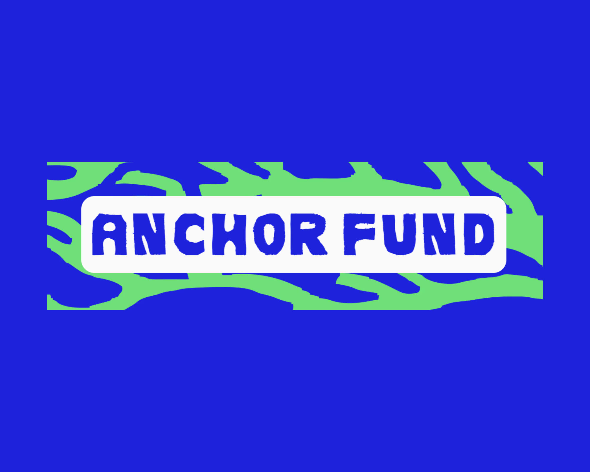 The Alliance for Youth Organising - Anchor Fund