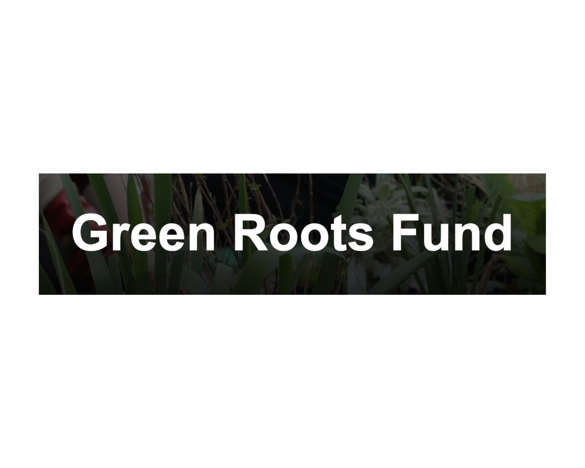 Mayor of London - Green Roots Fund