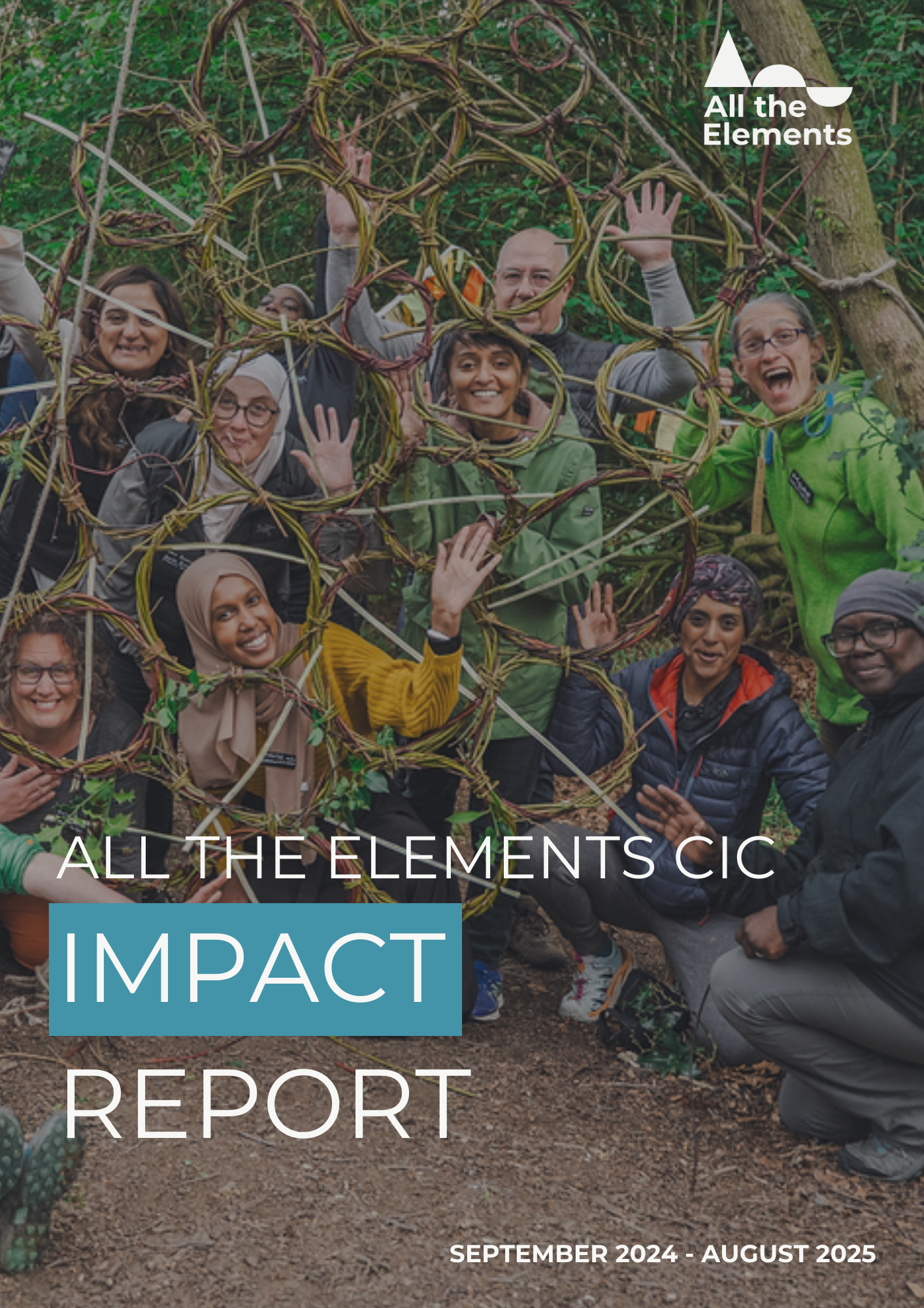 Screen shot of All The Elements Impact Report