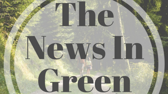 Interview: The News in Green